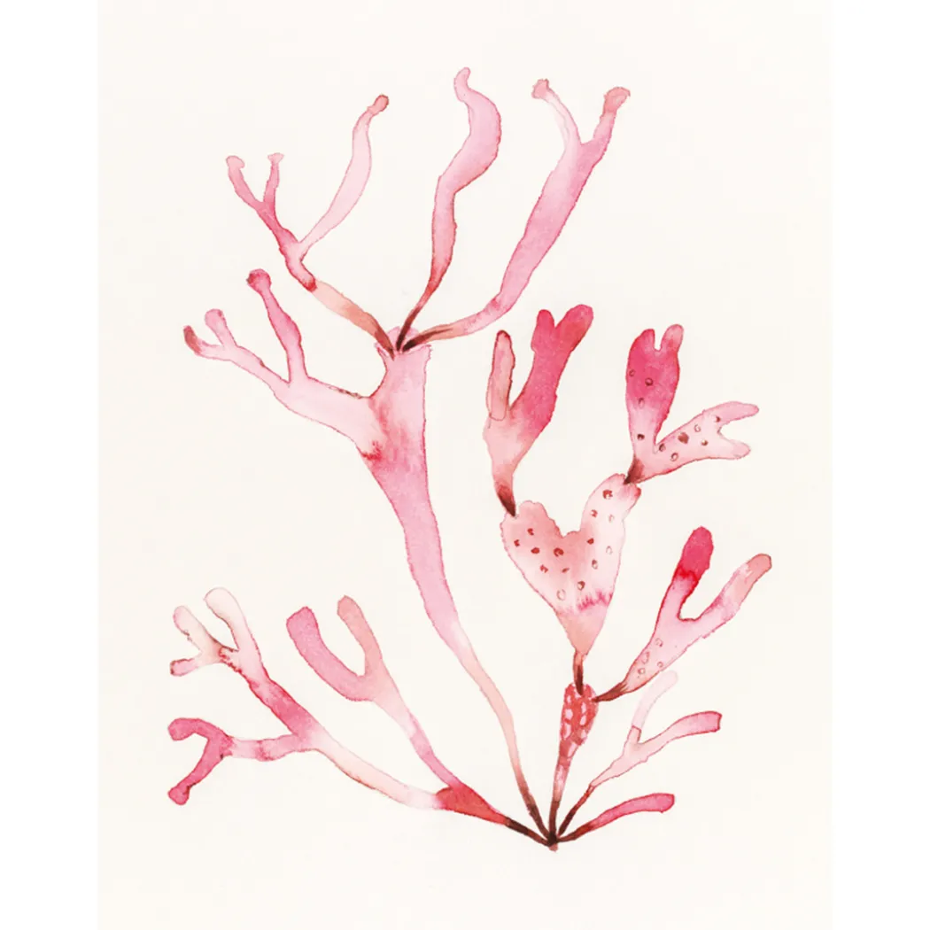 The Colour Mixing Guide: Watercolour Seashore