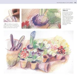 The Encyclopedia of Coloured Pencil Techniques