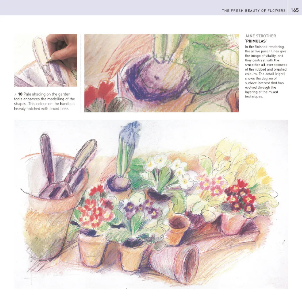 The Encyclopedia of Coloured Pencil Techniques