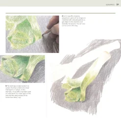 The Encyclopedia of Coloured Pencil Techniques
