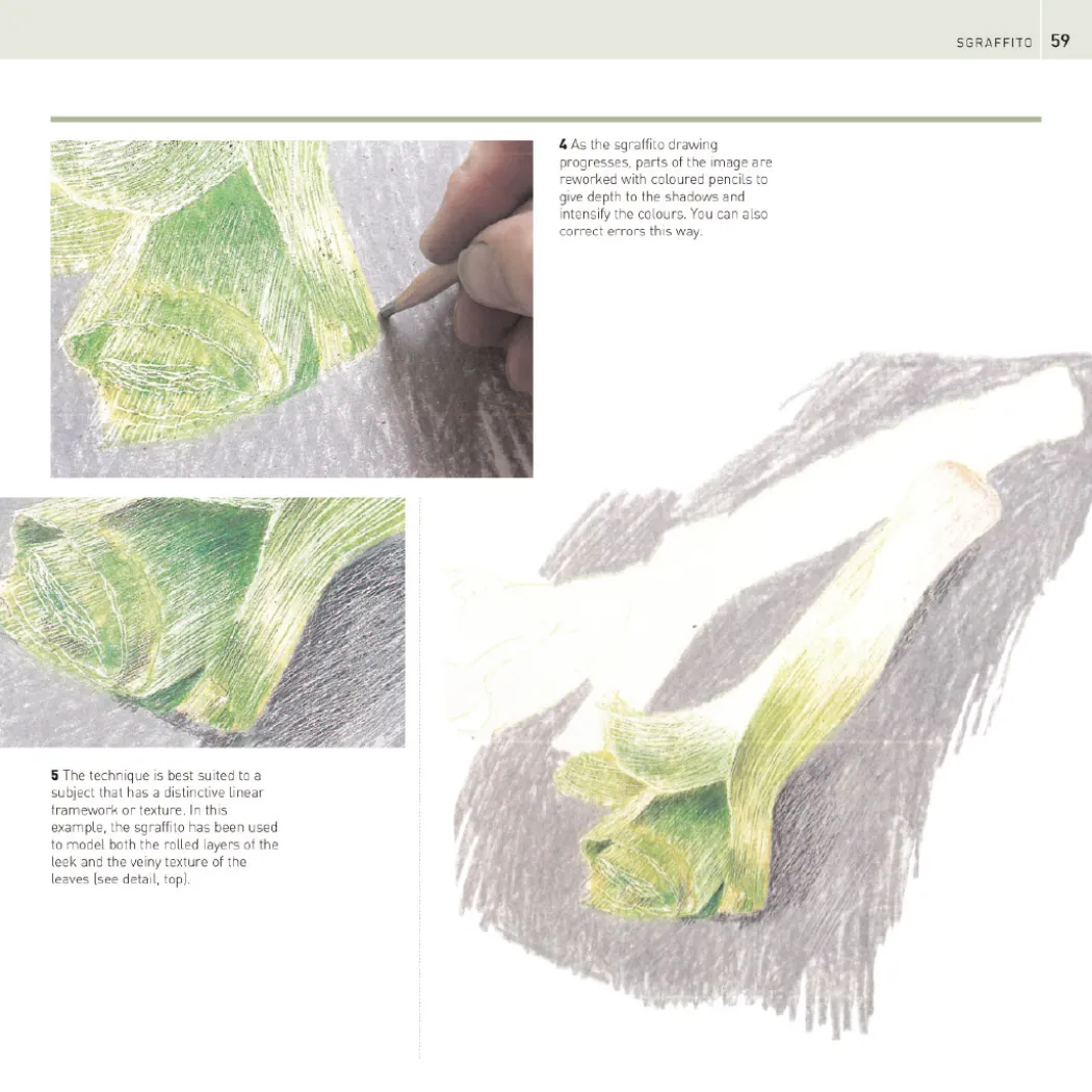 The Encyclopedia of Coloured Pencil Techniques