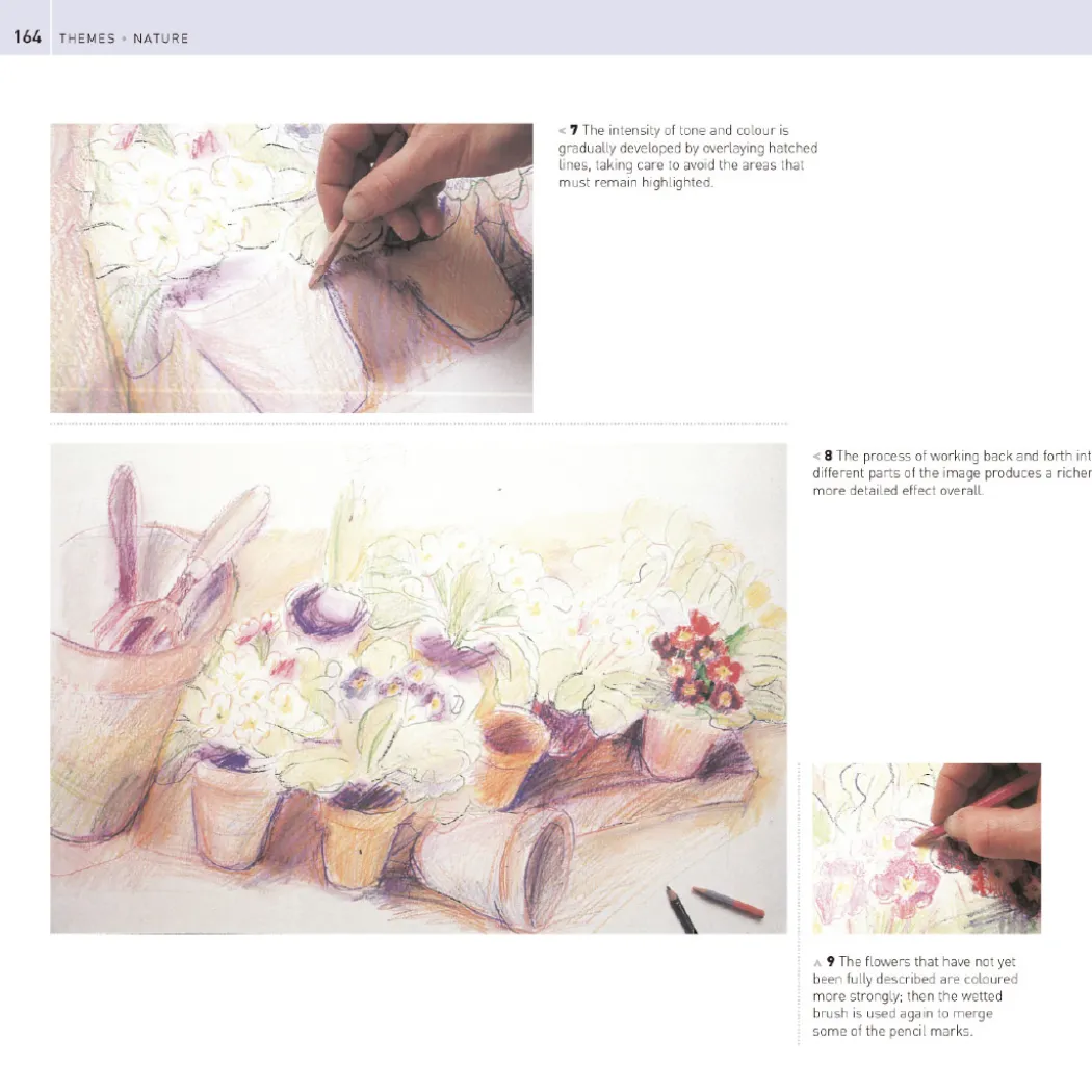 The Encyclopedia of Coloured Pencil Techniques