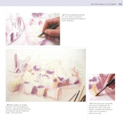 The Encyclopedia of Coloured Pencil Techniques