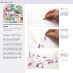 The Encyclopedia of Coloured Pencil Techniques