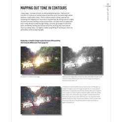 The Innovative Artist: Capturing Light