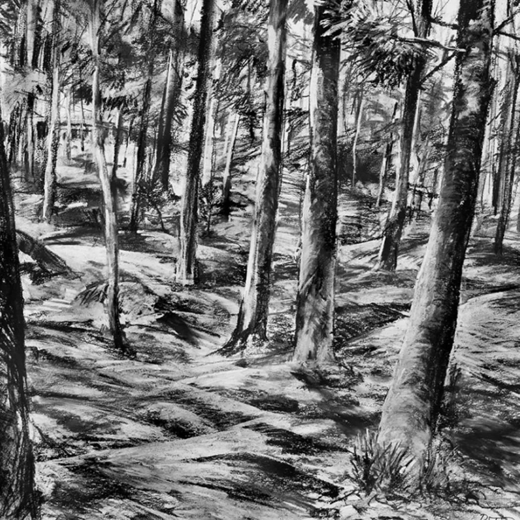 The Innovative Artist: Drawing Dramatic Landscapes