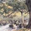 The Watercolour Artist's Bible