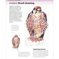 The Watercolour Artist's Bible