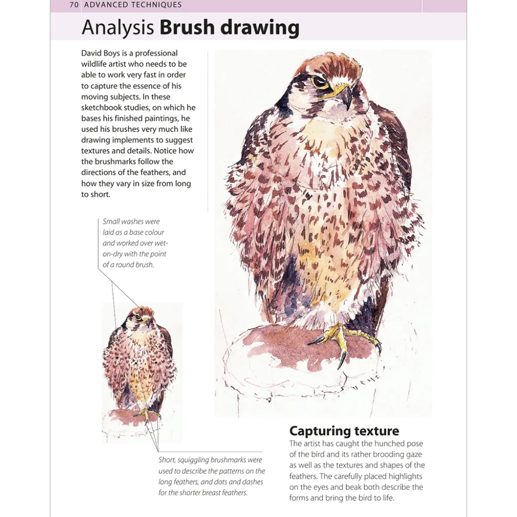 The Watercolour Artist's Bible