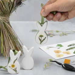 Torkade blommor och blad Råvit
