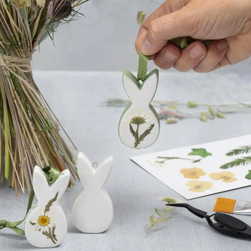 Torkade blommor och blad Råvit