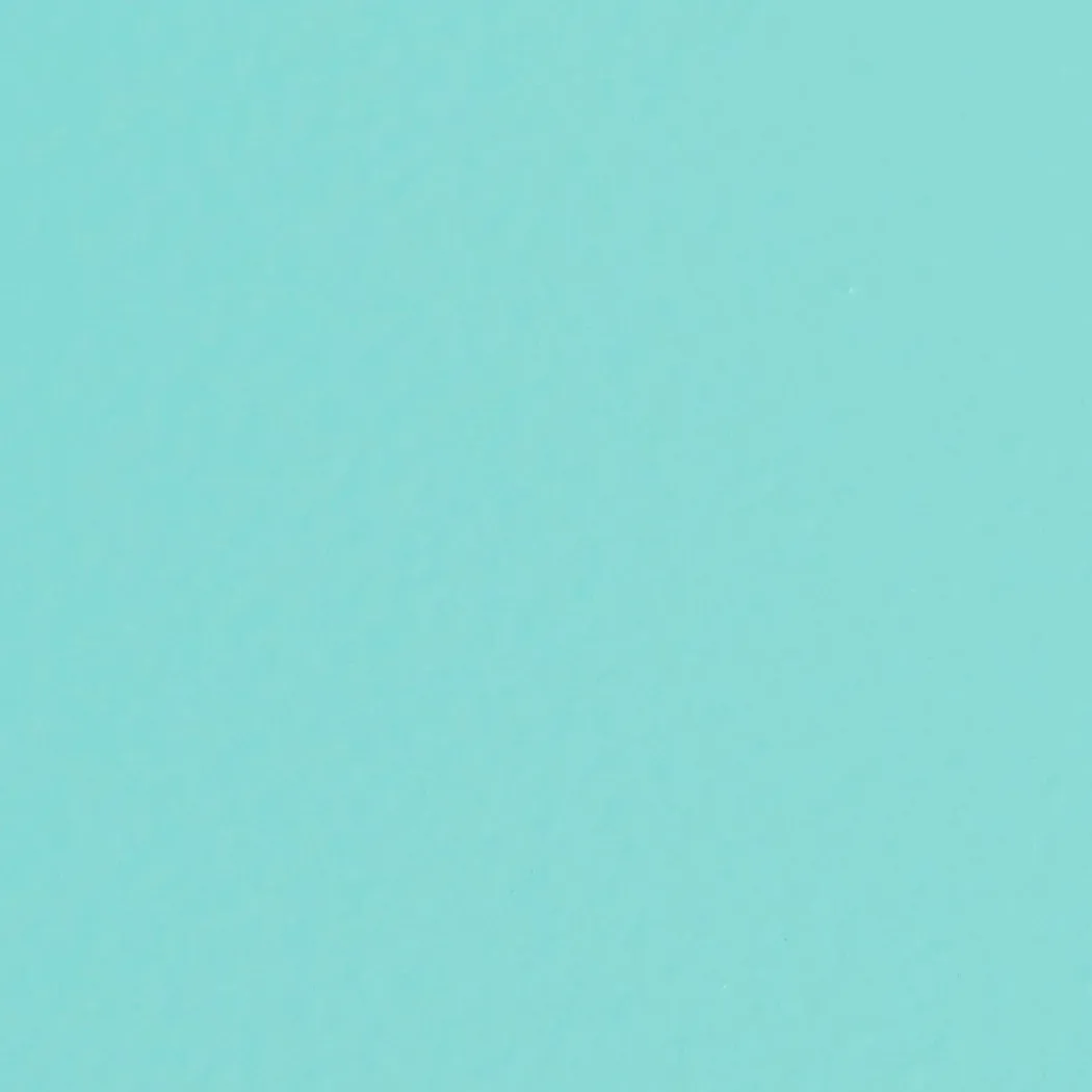 T190 Trunk Shape Toolbox Turquoise