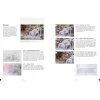 Watercolor Artist's Index of the Natural Landscape